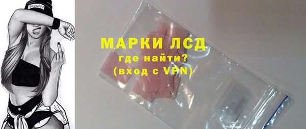 хмурый Абаза