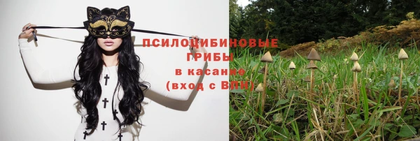 ALPHA-PVP Алексеевка