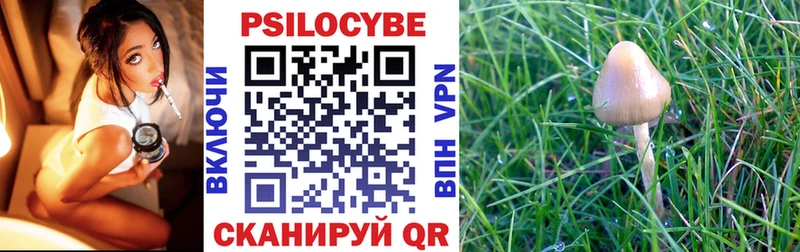 Галлюциногенные грибы мицелий  Красноуфимск 